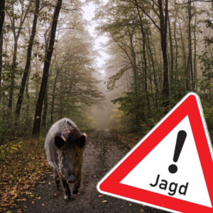 Dates des chasses en battue 2026 / Daten der Drückerjagden 2026