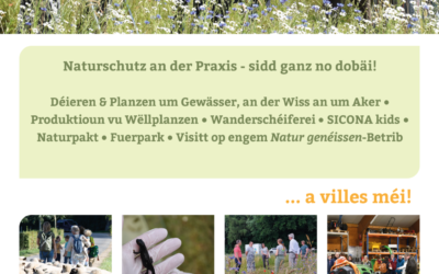 SICONA day 06/06/2026 – Léiert de SICONA a seng Naturzschutzprojete kennen
