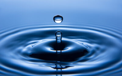 Avis sur l’approvisionnement d’eau / Mitteilung bezüglich der Wasserversorgung