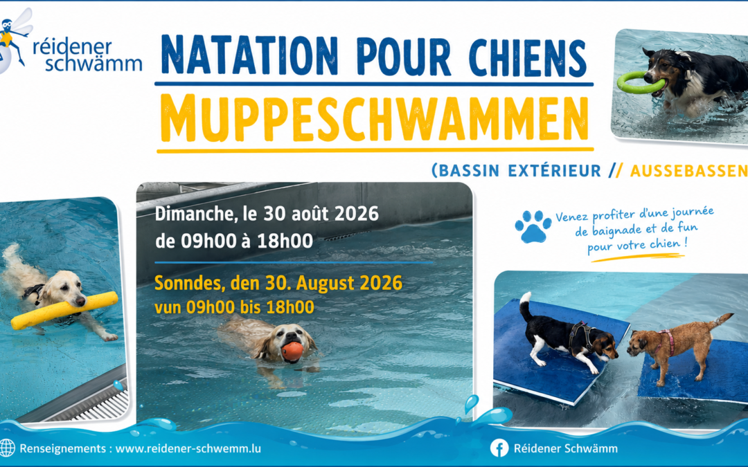 Muppeschwammen / Natation pour chiens an der Réidener Schwämm – 30/08/2026
