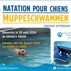 Muppeschwammen / Natation pour chiens an der Réidener Schwämm - 30/08/2026